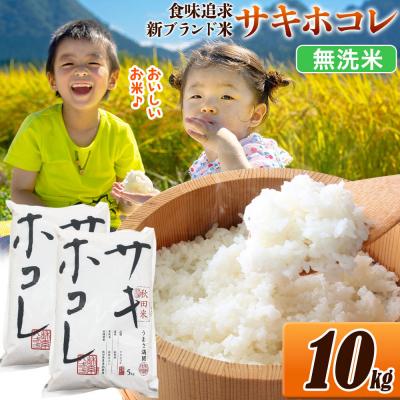 ふるさと納税 大仙市 米 サキホコレ【無洗米】令和7年産 10kg|22_ssn-051001m_sf