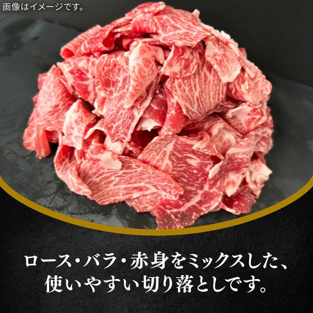 佐賀牛切り落とし600g（ロース・バラ・赤身） / 佐賀県 / 田中畜産牛肉店 [41ARAA009]