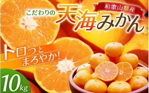 
                  【先行予約】天海みかん 10kg ≪2026年11月より発送≫ 海藻肥料で育った 完熟 早生 みかん ミカン 蜜柑 柑橘 温州みかん フルーツ 果物 くだもの 産地直送 甘い 濃厚 10キロ 期間限定 人気 和歌山県 田辺市 【nak007-1】
                