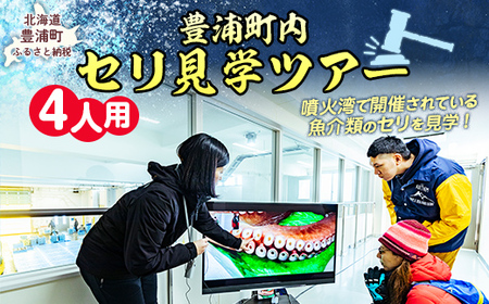 【豊浦町内】セリ見学ツアー（4人用） 