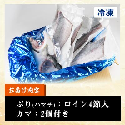 ふるさと納税 いちき串木野市 <先行受付>鹿児島県産養殖ぶり(ハマチ)の切り身「ロイン4節・カマ2個付」合計約2kg! |  | 03