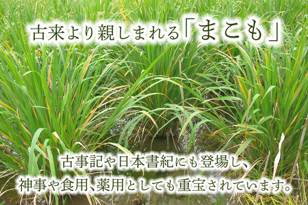 まこも茶 ティーバッグ 8パック×7袋セット (合計56パック) [0456]