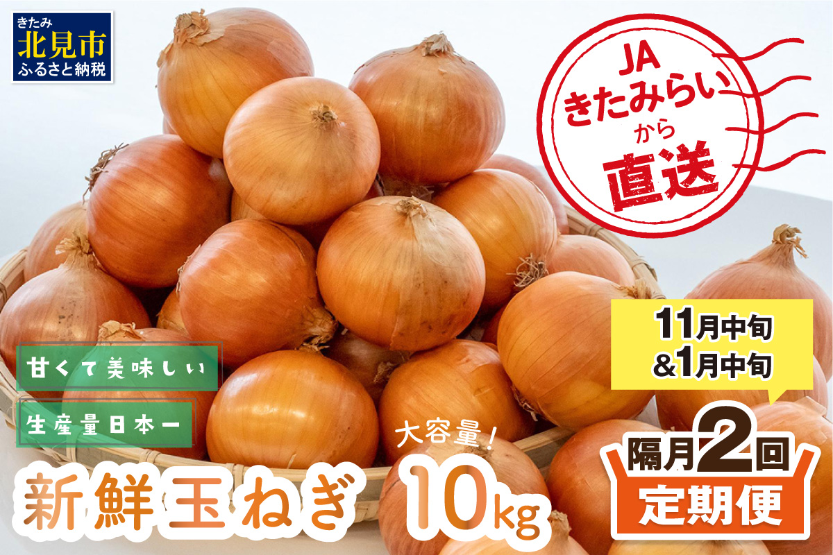 【隔月2回(11月・1月)定期便】JAきたみらいから直送する新鮮玉ねぎ 10kg L玉 ( 野菜 定期便 玉葱 たまねぎ 期間限定 )【999-0118-2026】