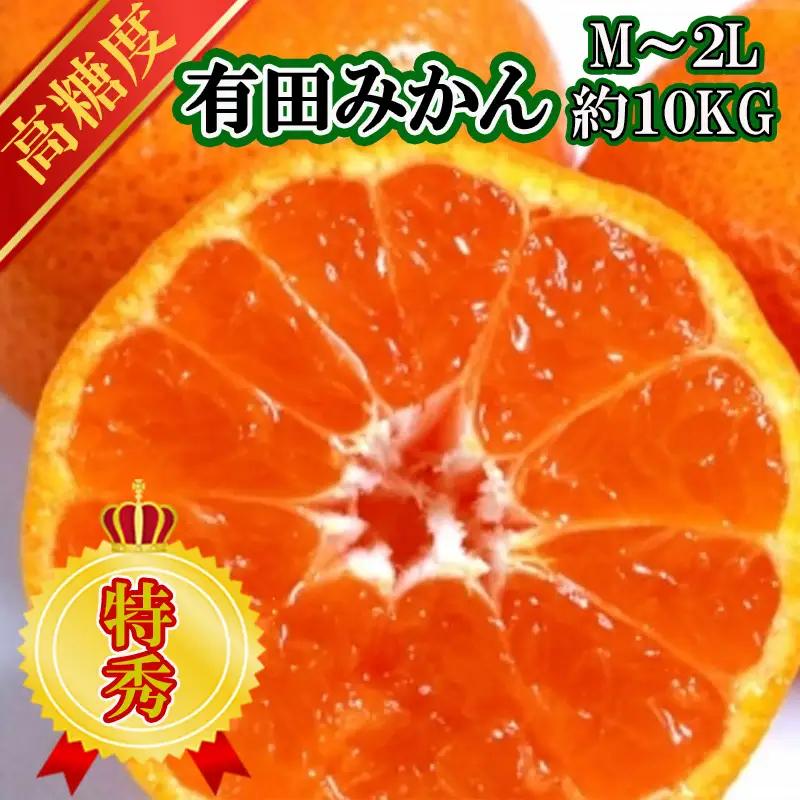 【先行予約】【特秀品】有田みかん 和歌山県産 約10kg（M～2Lサイズ混合）