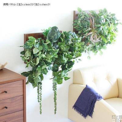 ふるさと納税 名古屋市 Botanical c.class 22　ブラウン |  | 01