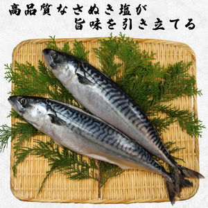 一汐さば  4尾 さば さば さば さば さば エドノフーズ