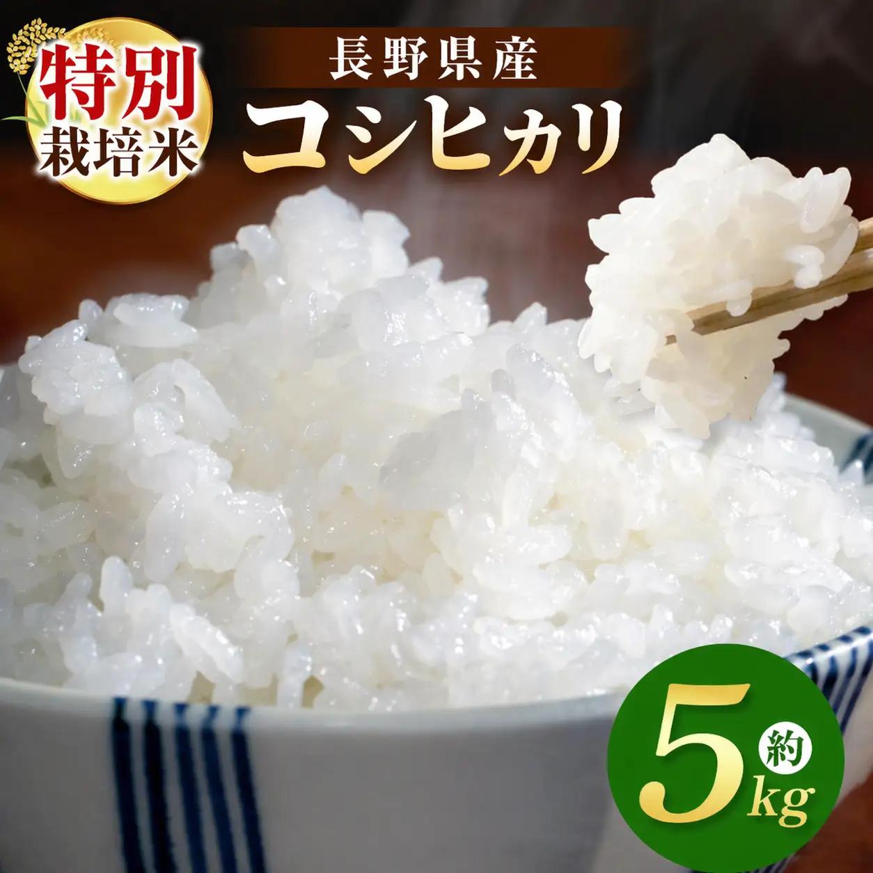 【令和8年先行予約】 木島平産 特別栽培米コシヒカリ 約5kg （株）岳農 | 米 お米 特別栽培米 こしひかり コシヒカリ 長野県 木島平村 信州