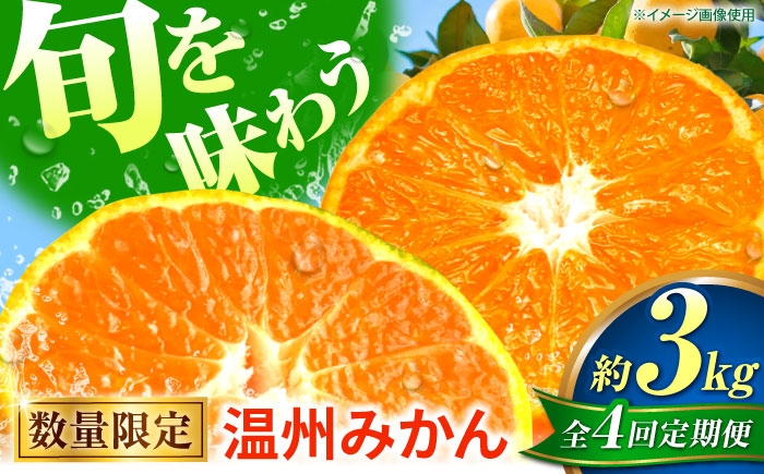 
            【先行予約】【全4回定期便】  温州みかん 3kg 極早生 早生 中生 晩生 みかん 【池田農園】 [ZEX011]
          