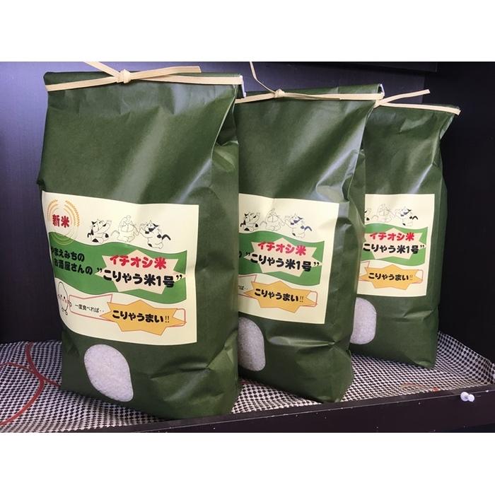 【ふるさと納税】筑前町産お米元気つくし15kg 「こりゃうまい（米）！！」 | お米 こめ 白米 食品 人気 おすすめ 送料無料