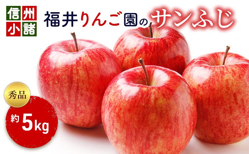 信州小諸・福井りんご園のサンふじ　秀品　約5kg　 果物類 林檎 リンゴ 