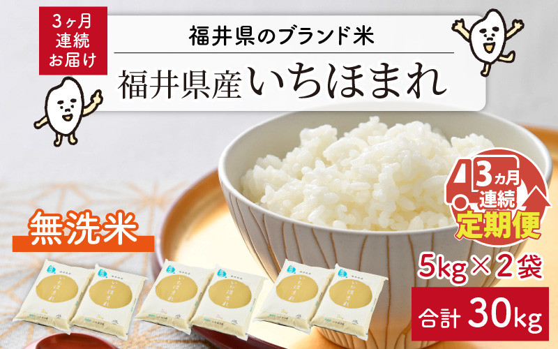 【令和8年産】 定期便 ≪3ヶ月連続お届け≫ 福井県のブランド米 いちほまれ 無洗米 10kg × 3回 計30kg 【 無洗米 人気 品種 ブランド米 特A 】 [I-6108]