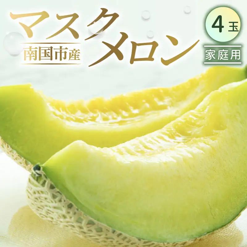 【西島園芸団地】マスクメロン（家庭用） 4玉入 青肉品種 高級メロン！ ／ マスクメロン 果物 フルーツ ギフト 農家直送 NE022
