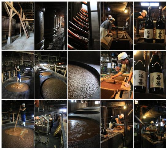 【老舗コトヨ醤油】 5回定期便 コトヨ和院 500ml×3本 (2ヶ月毎×5回) 万能 [だし醤油] 醤油 1C39051