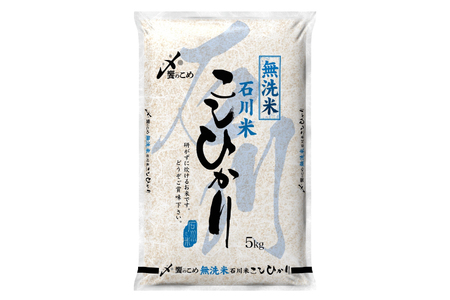 米 無洗米 定期便 石川米 こしひかり 5kg 12回 〈2026年3月より初回出荷〉[38601338]