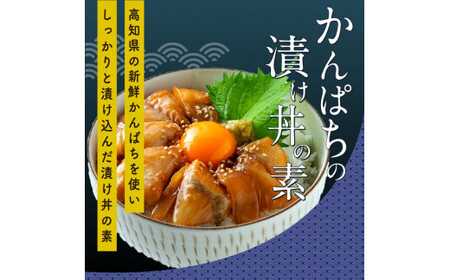 訳ありかつおたたき1節＋かんぱち漬け丼の素1食 〈高知市共通返礼品〉