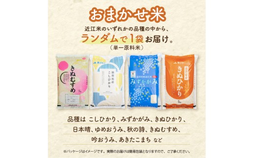近江米 おまかせ5kg 白米 令和7年産 5kg 5キロ お米 ご飯 精米 米 こめ 国産 滋賀県 近江米 近江 訳あり ごはん ブランド米 単一米 簡易包装 滋賀 彦根
