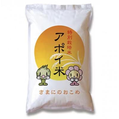 ふるさと納税 様似町 【新米】北海道様似町産　アポイ米(ななつぼし) 精米 10kg