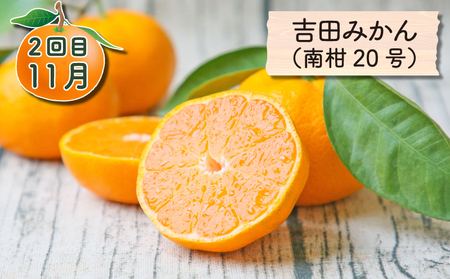 旬の 柑橘定期便 全4回 家庭用 極早生みかん 吉田みかん 愛果28号 ポンカン フレッシュつちやま 温州みかん 温州 果物 フルーツ 柑橘 みかん プレゼント ギフト 産地直送 数量限定 国産 愛媛