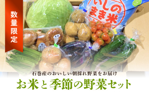 ＜数量限定＞ 石巻産 お米と季節の野菜セット 詰め合せ 朝採れ 旬の野菜 季節の野菜 やさい お野菜 野菜 ヤサイ 米 ひとめぼれ 5kg コメ 詰め合わせ 食材 新鮮 宮城 石巻 宮城県 石巻市