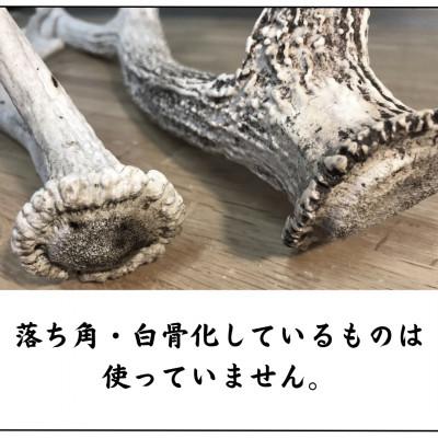 ふるさと納税 帯広市 鹿の角 枝先10cm前後200gセット 北海道産 アクセサリー クラフト材 |  | 03