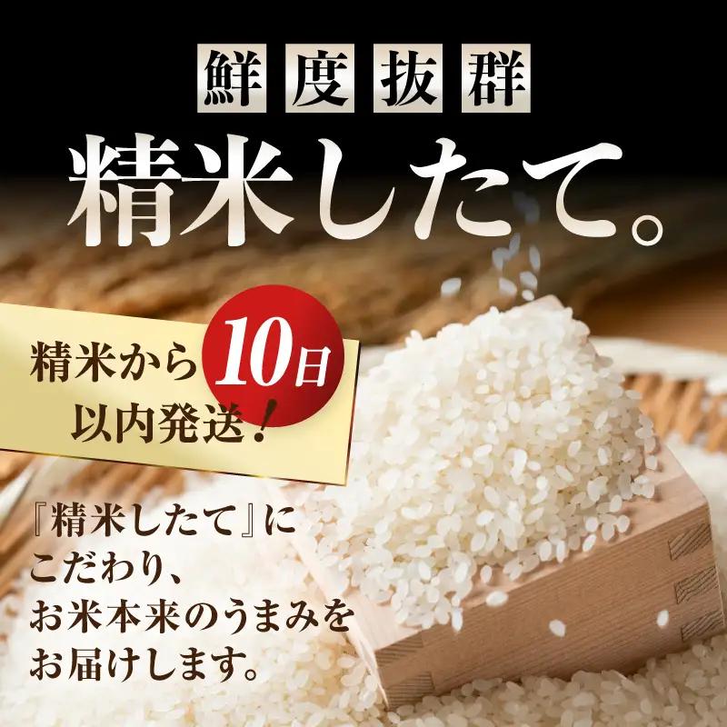 岩手ふるさと米 5kg×6ヶ月 ひとめぼれ 定期便【全6回定期便】【配送時期に関する変更不可】 [U0141]