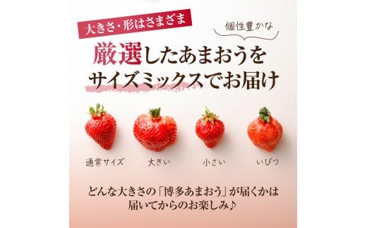4月発送！「博多あまおう」約280g×4パック_KA0526
