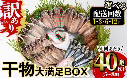 
            ＜お届け回数が選べる＞訳あり 干物大満足BOX(1回あたり40尾以上/1回 or 3回 or 6回 or 12回) 干物 丸干し 開き 魚 冷凍 訳あり 小分け 簡易包装 詰め合わせ セット 定期便 みりん干し あじ さば かます 【opaa001・opaa002・opaa003・opaa004】【やまろ渡邉】
          