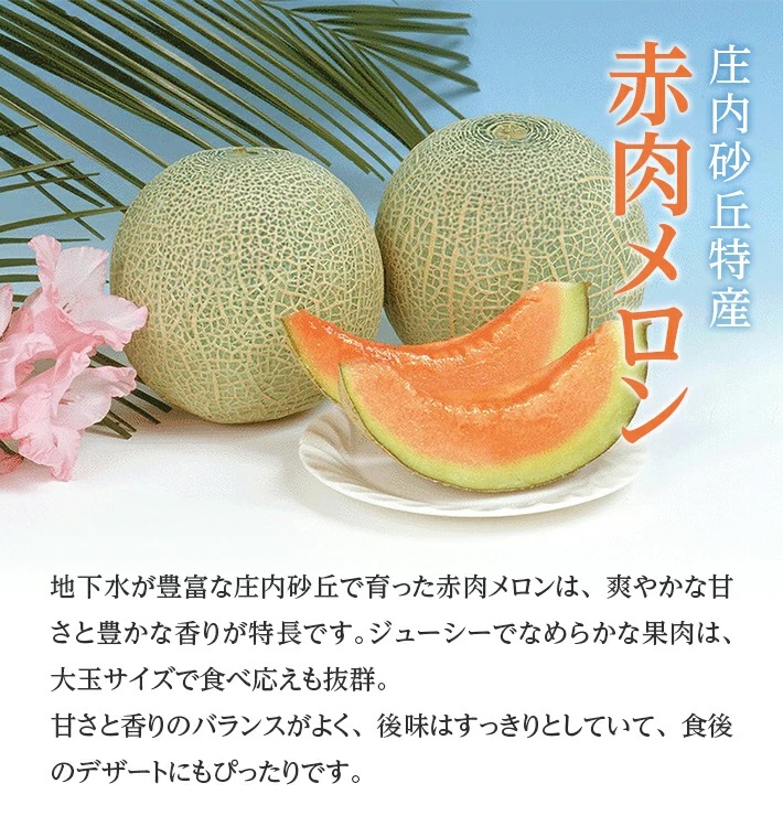SB0691　メロン食べ比べ『品種おまかせ(青肉・赤肉)メロン 』　約5kg 計4玉(各2玉入)