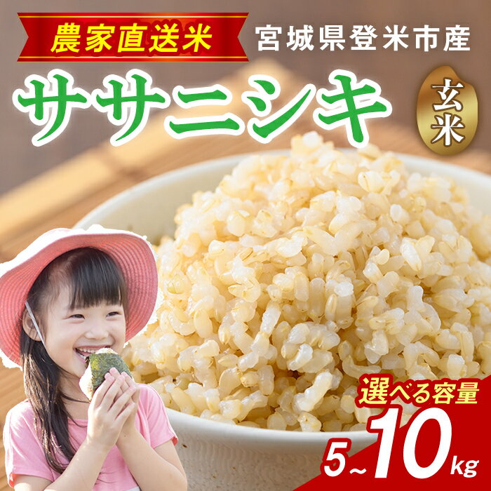 【ふるさと納税】≪令和7年産≫ ササニシキ 玄米 5kg～10kg 選べる容量 宮城県 登米市産 お米 おこめ 米 コメ ご飯 ごはん おにぎり お弁当 5kg 10kg 【株式会社ごとう農産】tm650・tm651