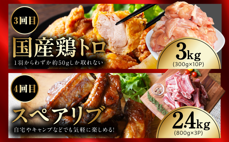 【定期便】希少部位 定期便6.5万円コース【小分け 希少部位 ヒレ 鶏肉 スペアリブ はらみ ハラミ 牛肉 焼肉 BBQ 簡単調理 味付き】 mrzZ106