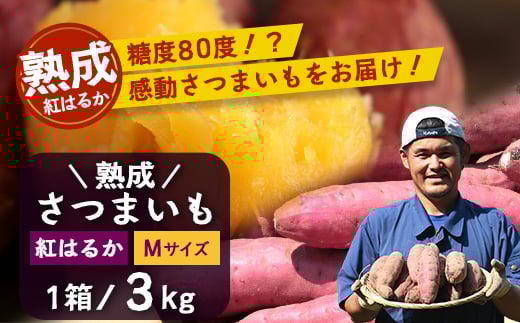 
            【先行予約・2025年11月下旬より順次発送】鹿児島県産 熟成 紅はるか 3kg (1箱 ) Mサイズ (おすそ分け袋／美味しい焼き芋の焼き方 説明書付き） | さつまいも サツマイモ 焼き芋 べにはるか おやつ 煮物 芋ごはん 味噌汁 鹿児島県 南大隅町 株式会社フォレスト（AX72213）
          