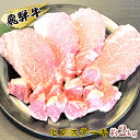 【ふるさと納税】飛騨牛ヒレステーキ約2kg（約200g×8枚）サイコロステーキ（約400g）　【お肉・牛肉・ヒレ・ステーキ・飛騨牛・ヒレステーキ・サイコロステーキ】