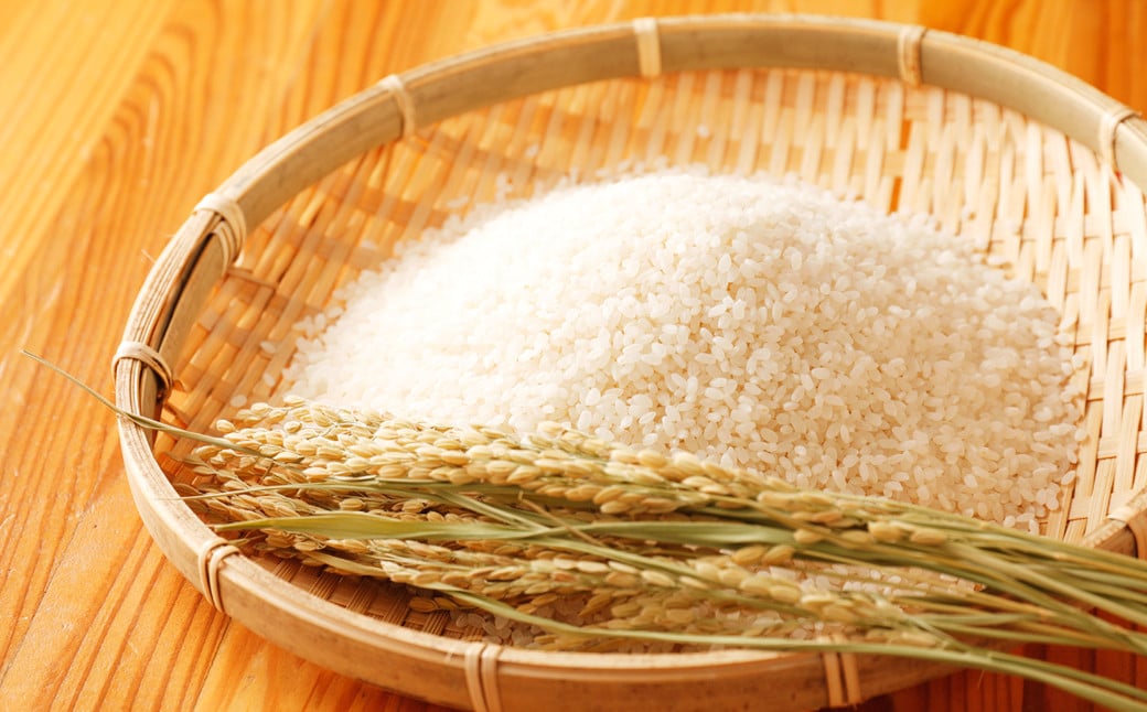 令和7年産 竹田銘水美人色選米 白丹産特別栽培米 ひとめぼれ 10kg