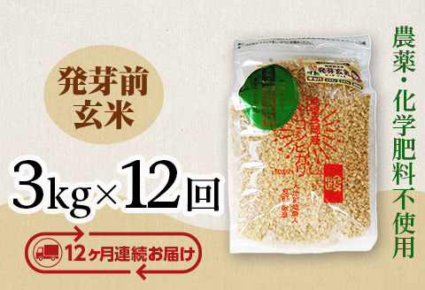E1-H03Z【12ヶ月連続お届け】新潟県長岡産コシヒカリ 発芽前玄米 3kg