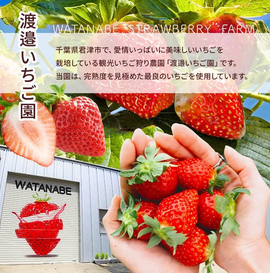 完熟・急速 冷凍いちご 5kg イチゴ| 渡邉いちご園