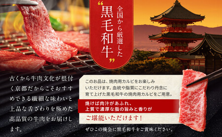 【京都モリタ屋】A5ランク 国産黒毛和牛 カルビ焼肉用 550g｜京都 老舗 有名店 国産牛 高品質 人気 牛肉 牛肉 牛肉 牛肉 牛肉 牛肉