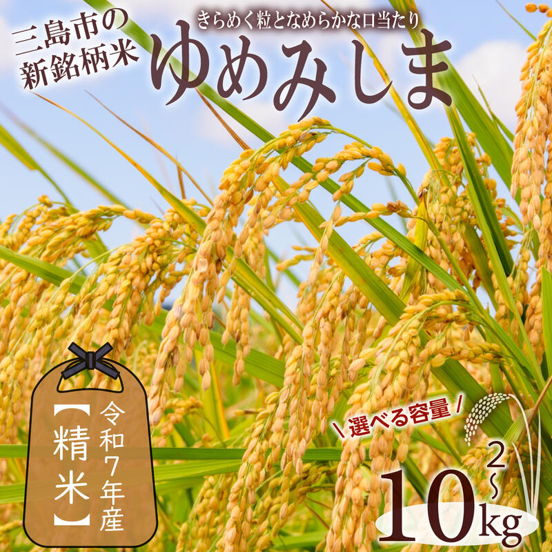 【ふるさと納税】 令和7年産 先行予約 新米 ゆめみしま 精米 選べる 容量 2kg 5kg 10kg 三島米 新銘柄米 「ゆめみしま」 粒形が特徴的 湧水育ち こめ 米 ごはん 白米 お米 精米 炊き込みご飯 グラウンドワーク アグリライフ三島 静岡県 三島市