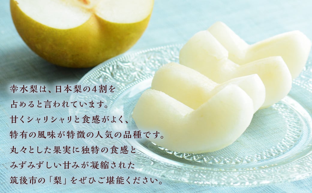 幸水梨 約3kg 5～8玉【2026年7月下旬から8月下旬発送予定】 ナシ 梨 果物 フルーツ 福岡県産