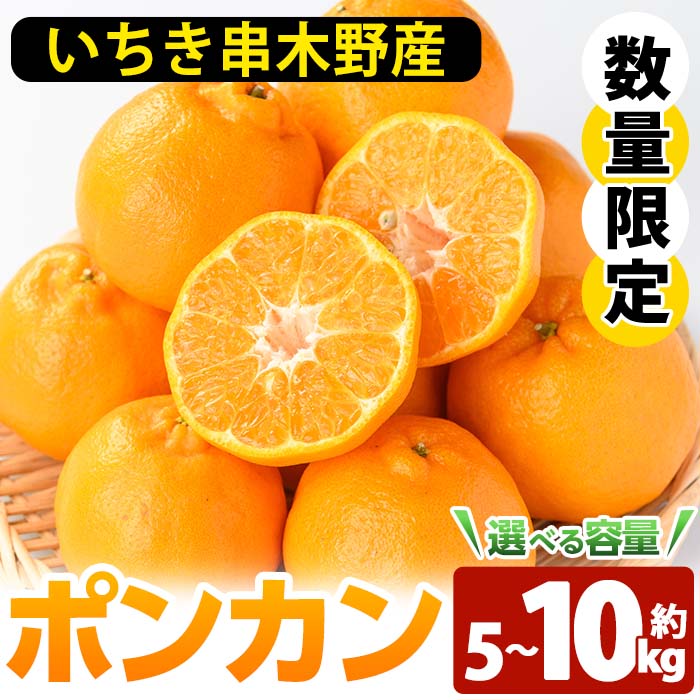 【ふるさと納税】＜先行予約受付中！2025年12月上旬頃より順次発送予定！＞《容量選べる！》池之上果樹園の旬のポンカン(約5kg/約10kg) 国産 鹿児島県産 果物 ぽんかん 椪柑 みかん ミカン 蜜柑 フルーツ 果実 冬季 常温 Mサイズ Lサイズ 箱 箱詰め バラ詰め【池之上果樹園】