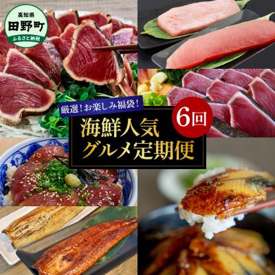 ふるさと納税 田野町 【四国一小さなまち】厳選お楽しみ福袋!海鮮人気グルメ定期便★6回★奇数月配送