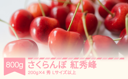 先行予約 2025年産 さくらんぼ 紅秀峰 秀 Lサイズ以上  山形県産 フルーツ 果物 くだもの サクランボ sb-bsslx800 ※沖縄・離島への配送不可