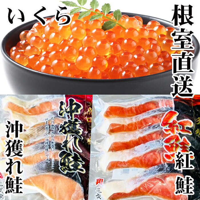 【ふるさと納税】 沖獲れ鮭切身 5 切 × 10P、紅鮭 5 切 × 10P、いくら醤油漬け 100g × 5P 鮭 さけ サケ しゃけ シャケ 魚 さかな サカナ 紅ざけ 紅ザケ べにざけ ベニザケ グルメ 海鮮 イクラ 醤油 醤油漬 魚卵 鮭卵 北海道 E-76003
