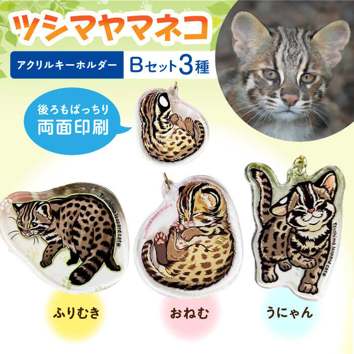 【ふるさと納税】対馬 オリジナル ツシマヤマネコ 両面 アクリルキーホルダー Bセット ≪対馬市≫【一般社団法人MIT】 対馬山猫 アクキー お土産 にゃんこ 赤ちゃん[WAP017]