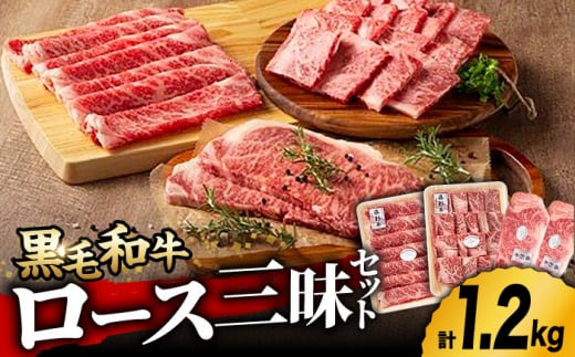 
藤彩牛 ロース 三昧セット [ZDT009] 冷凍 国産 牛肉 やきにく 焼肉 ステーキ サーロイン
