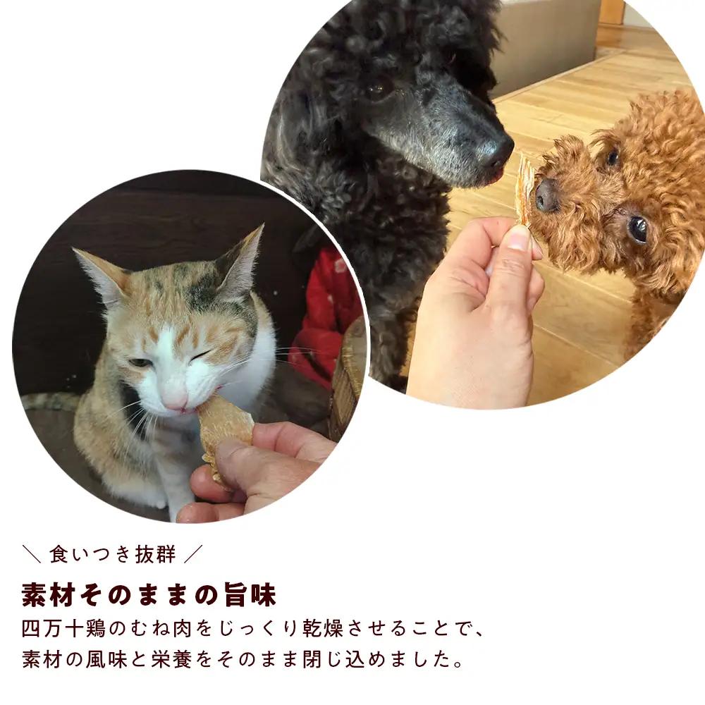 ペット おやつ ジャーキー　四万十鶏むね肉ジャーキー 50g×4袋　犬猫用 無添加 国産