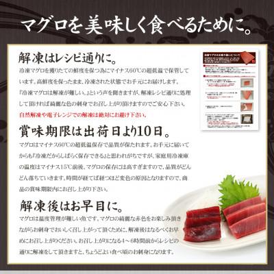 ふるさと納税 いわき市 本マグロ赤身　約300g　解凍レシピ付き　1サクずつ真空包装 |  | 02