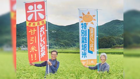 令和5年産 桜川市 の 厳選 甘引米 コシヒカリ 玄米 ５kg 特別栽培米 コシヒカリ こしひかり 玄米 米 こめ コメ 有機肥料 桜川市産 茨城県 いばらき[BA003sa]