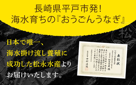 【全12回定期便】【着日指定 可能】【日本初！海水で養殖】長崎県産おうごん うなぎ 松セット 約1kg（6尾-8尾） 平戸市 / 松永水産 うなぎ 鰻 ウナギ 土用丑の日 九州産 蒲焼 かばやき[KA