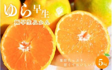 ＼新登場／ 【先行予約】 【全3回定期便】葵農園が贈る！ 秋のこだわりみかんコース （ゆら早生・早生温州・YN-26 各5kgずつ） ※2025年9月より3回お届け / みかん 定期便 柑橘 ゆら早生