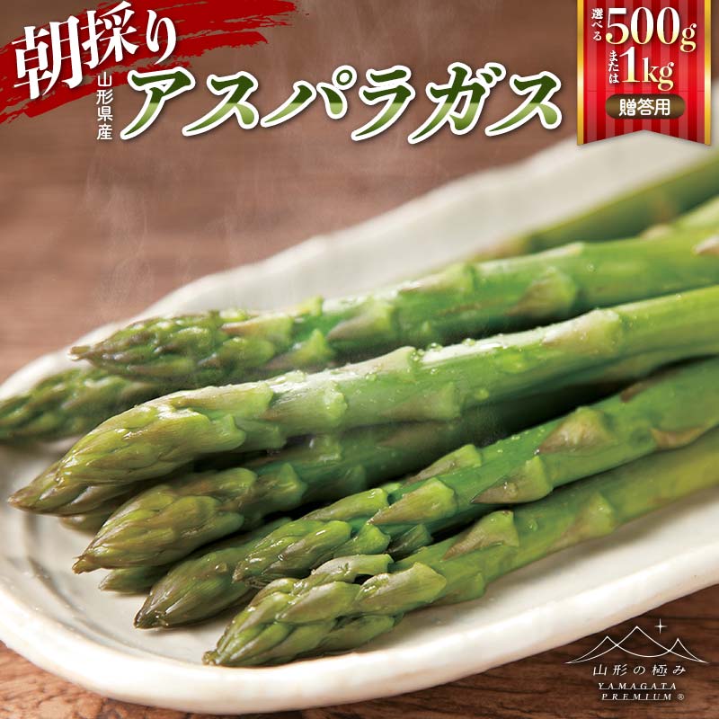 【ふるさと納税】【山形の極み】贈答用 山形県産 朝採り アスパラガス 【選べる容量 500g／1kg(500g×2)】 2026年4月下旬頃から順次発送 F2Y-6843var